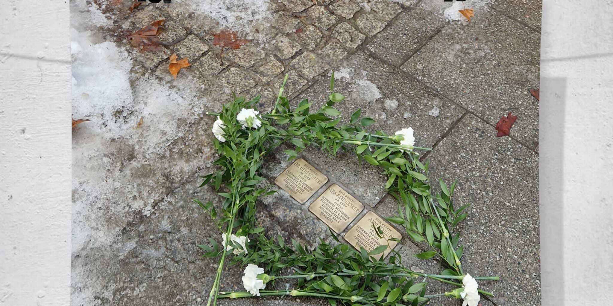 PHOTO-2026-01-20-17-21-36